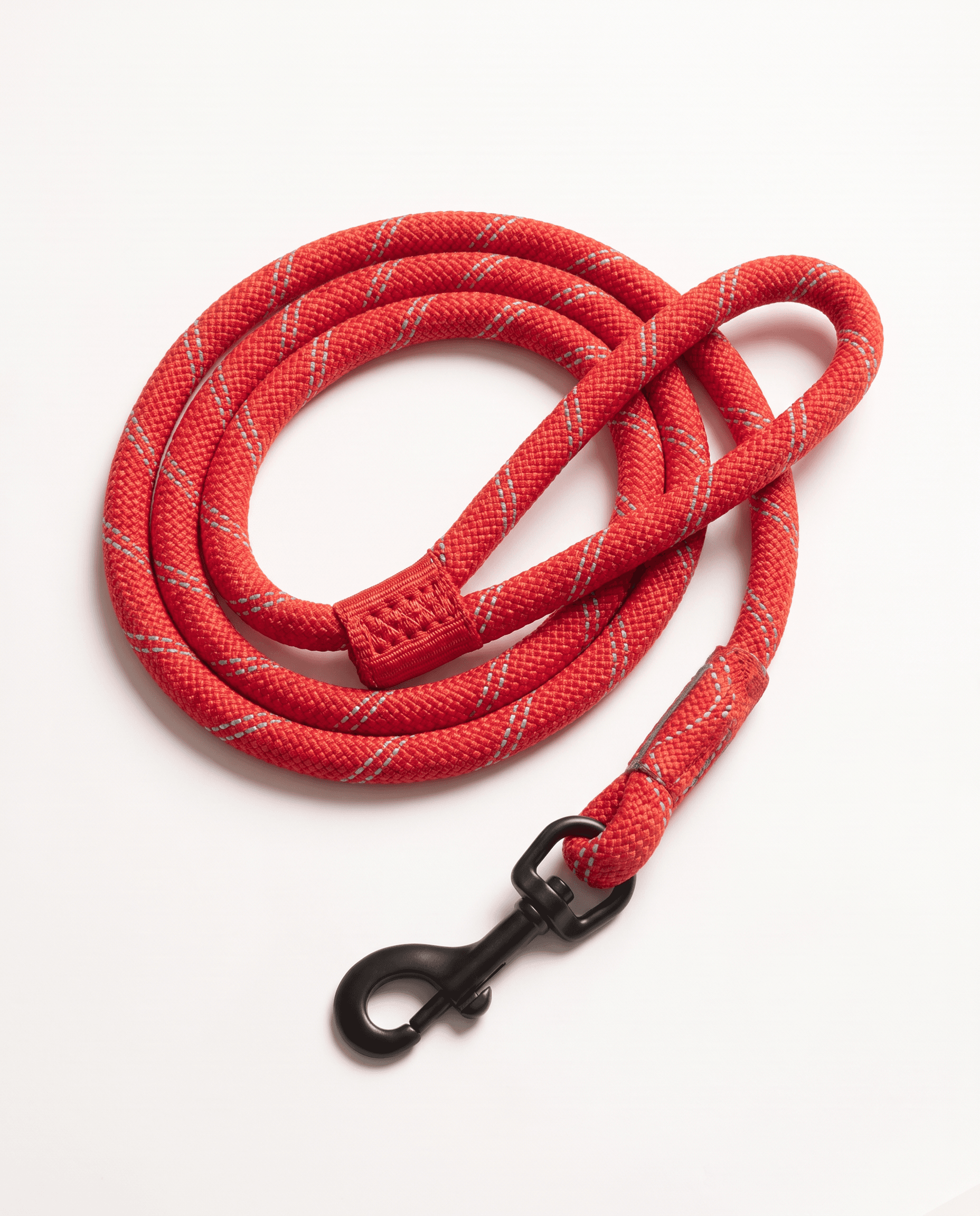 City Leash