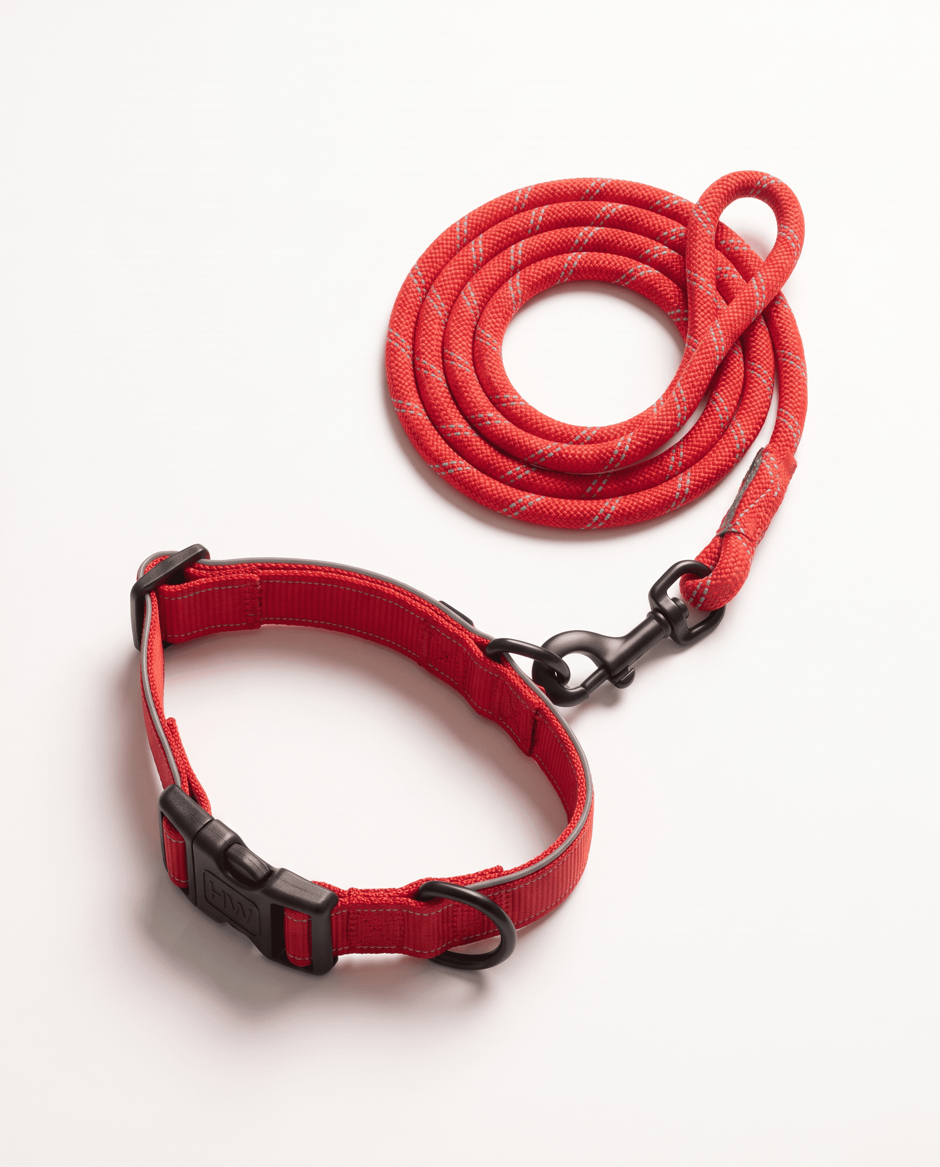 Collar + Leash Kit