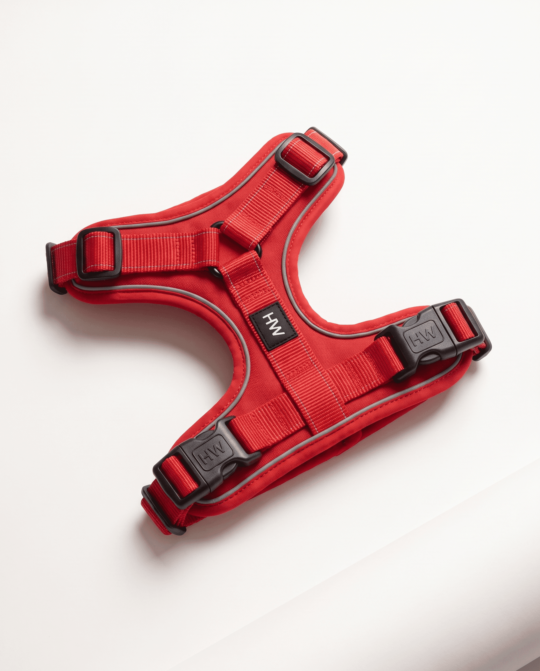 Walk Harness
